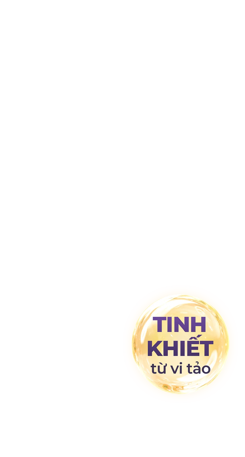 Tinh khiết từ vi tảo