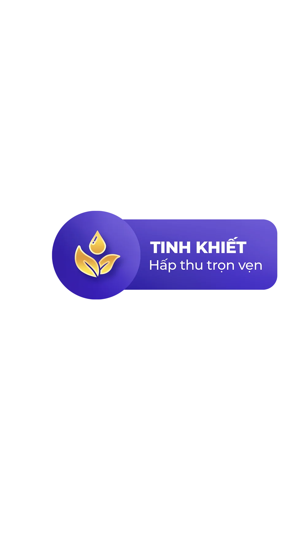 Tinh khiết hấp thu trọn vẹn